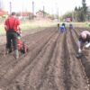Vari - Nosič hrobkovacích radlic NM1-001 + dvě hrobkovací
