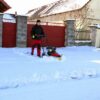 Vari - Sněžný pluh SP-800